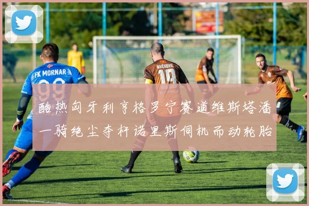 酷热匈牙利亨格罗宁赛道维斯塔潘一骑绝尘夺杆诺里斯伺机而动轮胎管理与进站策略定乾坤